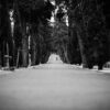 road-869589_1280 (1)